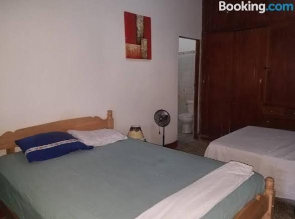 Casa Lucys Hostal グラナダ エクステリア 写真