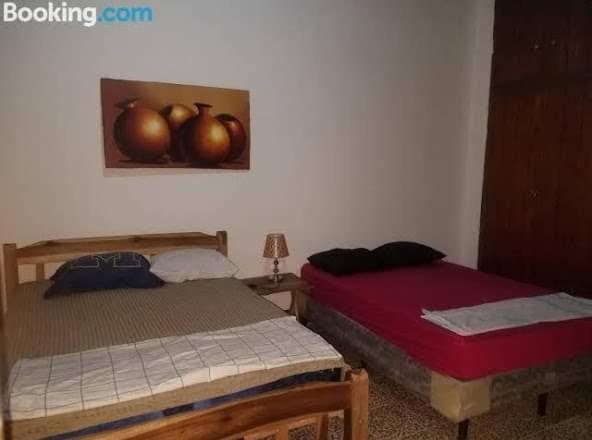 Casa Lucys Hostal グラナダ エクステリア 写真